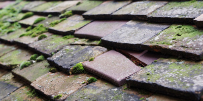 Stetchworth roof repair costs